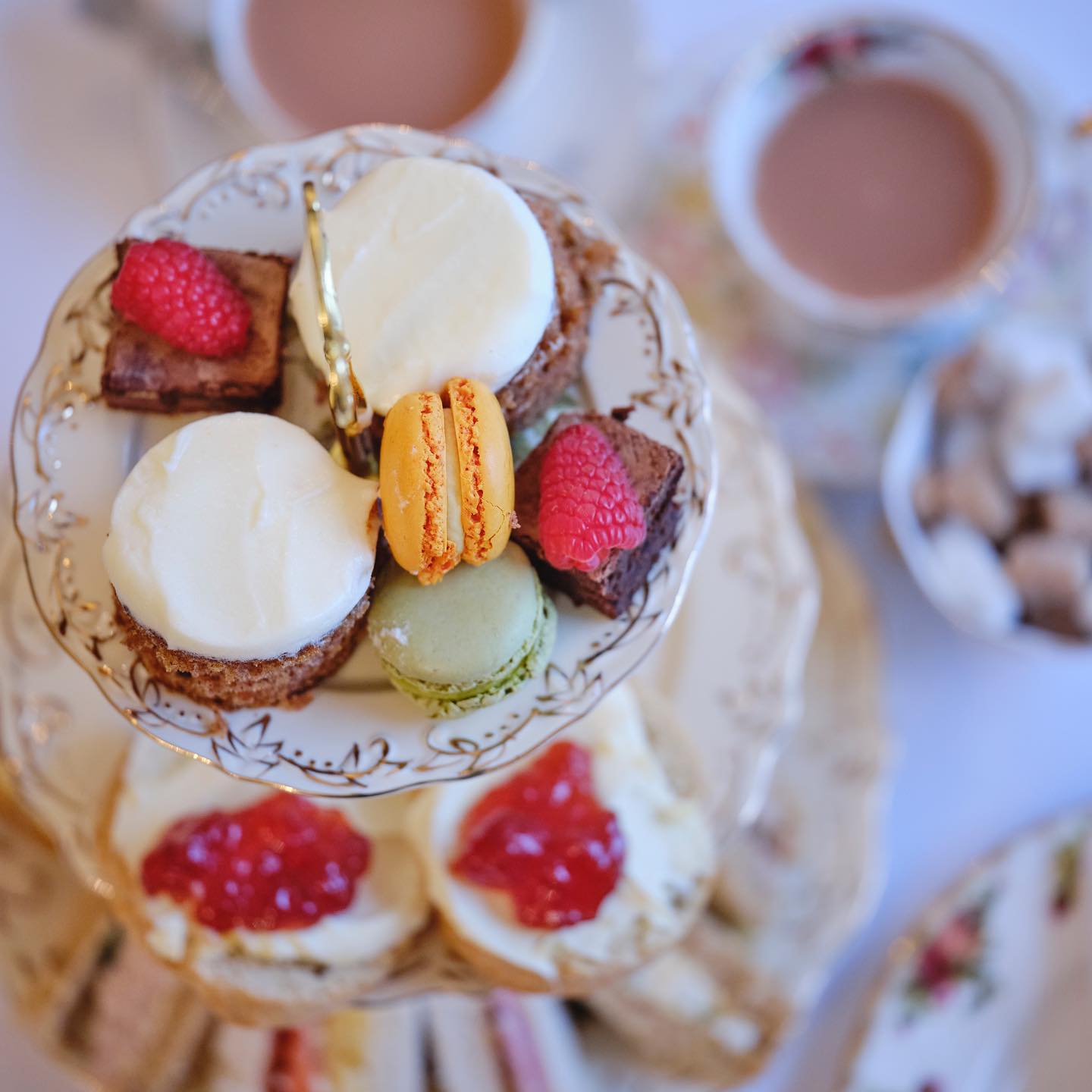 Afternoon Tea Guests